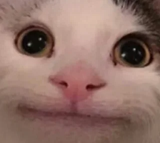 Sticker from Niggers