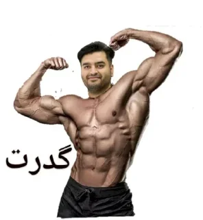 💪 emoji Milad Telegram sticker 11 of 99