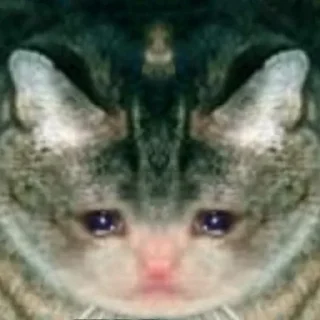 😭 emoji Crying Cat Deluxe 無限MUGEN Telegram sticker 23 of 52