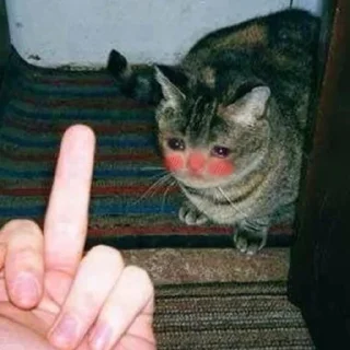 😭 emoji Crying Cat Deluxe 無限MUGEN Telegram sticker 6 of 52