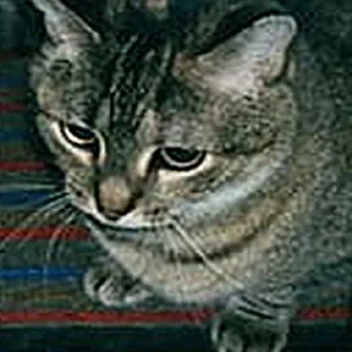 😭 emoji Crying Cat Deluxe 無限MUGEN Telegram sticker 18 of 52