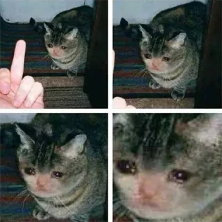 😭 emoji Crying Cat Deluxe 無限MUGEN Telegram sticker 14 of 52