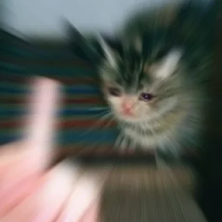 😭 emoji Crying Cat Deluxe 無限MUGEN Telegram sticker 15 of 52