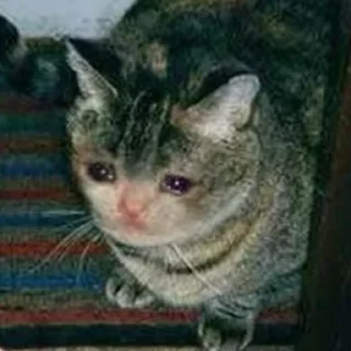 😭 emoji Crying Cat Deluxe 無限MUGEN Telegram sticker 7 of 52