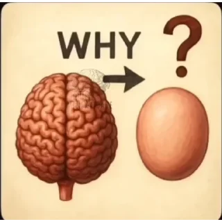👍 emoji 俄罗斯鹅.🧧 Telegram sticker 14 of 120
