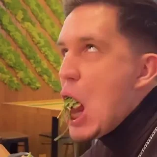 🙄 emoji Димка Масленников Telegram sticker 20 of 30