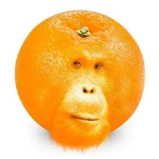 🍊 emoji V8 (@SirRobMagnusTheFourth) Telegram sticker 13 of 92