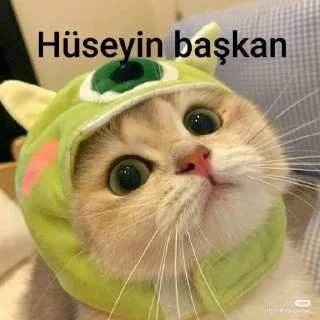 Sticker from Hüseyin dede