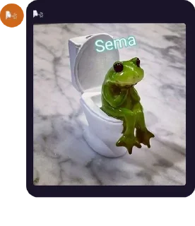 🐷 emoji 🧚🏿‍♀️💅🏿AHSEM MALİKANESİ 💅 pack by @QuotLyBot Telegram sticker 1 of 82
