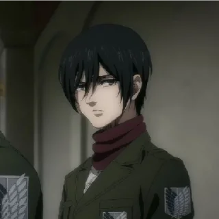 😁 emoji mikasa arckerman @grctrix Telegram sticker 10 of 17