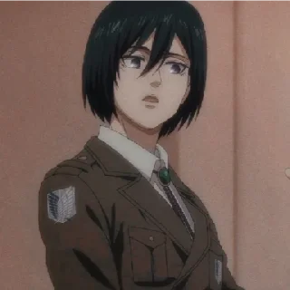 😁 emoji mikasa arckerman @grctrix Telegram sticker 17 of 17