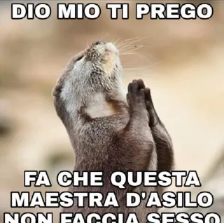 🙏 emoji citazioni Telegram sticker 12 of 12