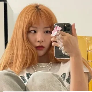 Sticker from seulgi
