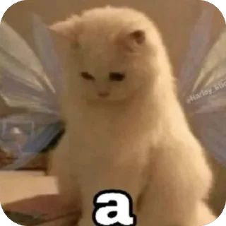 🫥 emoji Nhc Telegram sticker 23 of 46