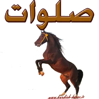Sticker from Kurdish horse