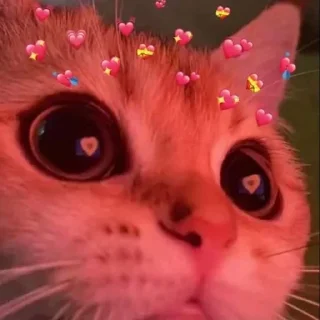 😍 emoji @MemePack4K عضو اینجا نشو Telegram sticker 10 of 54