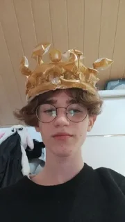 👑 emoji Димочка Telegram sticker 17 of 27