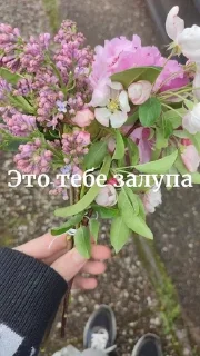 💐 emoji Димочка Telegram sticker 19 of 27