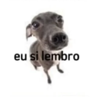 😁 emoji Aleatório Telegram sticker 5 of 23