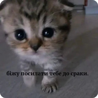 😠 emoji Українські меми від @buterrka 😦 Telegram sticker 12 of 18