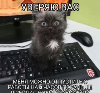 🫥 emoji Котики от SCh Telegram sticker 7 of 54