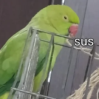 🤔 emoji Tutu The Third🦜 Telegram sticker 17 of 119