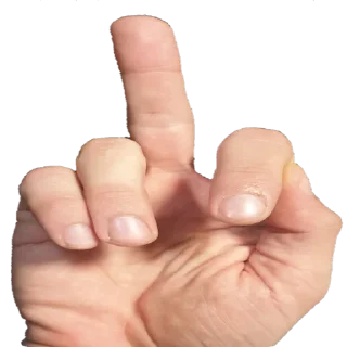 🖕 emoji like Telegram sticker 3 of 8