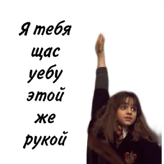 👋 emoji Гарри Поттер Telegram sticker 23 of 81