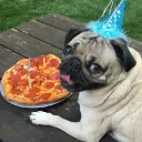 🍕 emoji dogs Telegram sticker 18 of 49