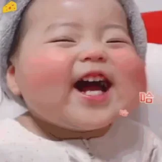 🐽 emoji 哪里来的小猪🐽 @YDCMx Telegram sticker 21 of 50