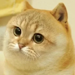😐 emoji By Alex Telegram sticker 14 of 117
