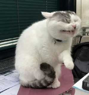 😣 emoji By Alex Telegram sticker 16 of 117