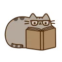 📖 emoji Pusheen Telegram sticker 11 of 34