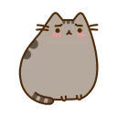 😳 emoji Pusheen Telegram sticker 5 of 34