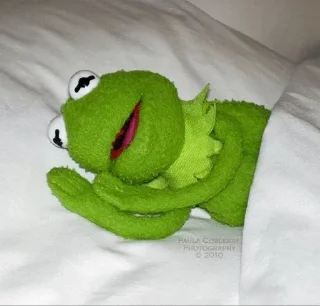 🐸 emoji Kermit | @Officialir Telegram sticker 12 of 114