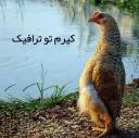 😩 emoji Angry Chicken @Amirreza_nk Telegram sticker 10 of 97