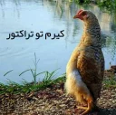 🖕 emoji Angry Chicken @Amirreza_nk Telegram sticker 17 of 97
