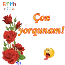 😩 emoji ShS-Az-Turk Telegram sticker 20 of 46