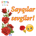 😊 emoji ShS-Az-Turk Telegram sticker 13 of 46