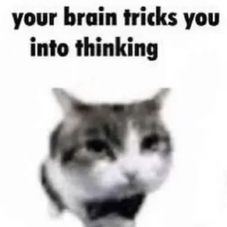 Sticker from the