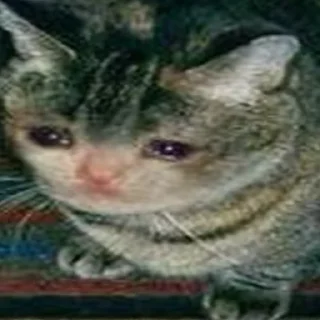 😭 emoji Crying Cat Deluxe 無限MUGEN Telegram sticker 13 of 52
