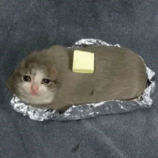 ❄️ emoji Cat Crying @ToxicPrincesses Telegram sticker 22 of 60