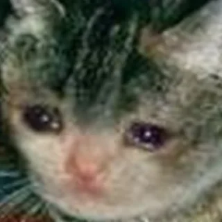 😭 emoji Crying Cat Deluxe 無限MUGEN Telegram sticker 10 of 52