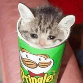 ❄️ emoji Cat Crying @ToxicPrincesses Telegram sticker 7 of 60