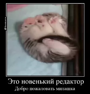 🌟 emoji Lounge | Ветка креативов Telegram sticker 23 of 92
