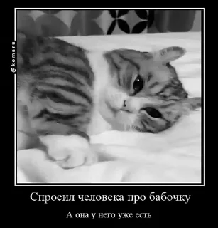 🌟 emoji Lounge | Ветка креативов Telegram sticker 12 of 92