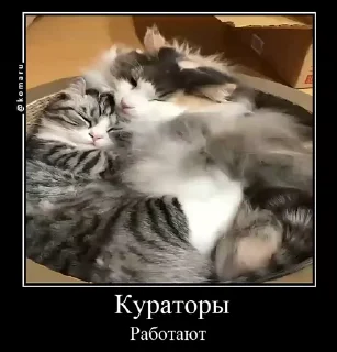 🌟 emoji Lounge | Ветка креативов Telegram sticker 14 of 92
