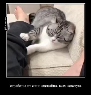 🌟 emoji Lounge | Ветка креативов Telegram sticker 3 of 92