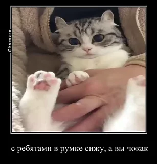 🌟 emoji Lounge | Ветка креативов Telegram sticker 7 of 92