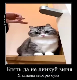 🌟 emoji Lounge | Ветка креативов Telegram sticker 17 of 92